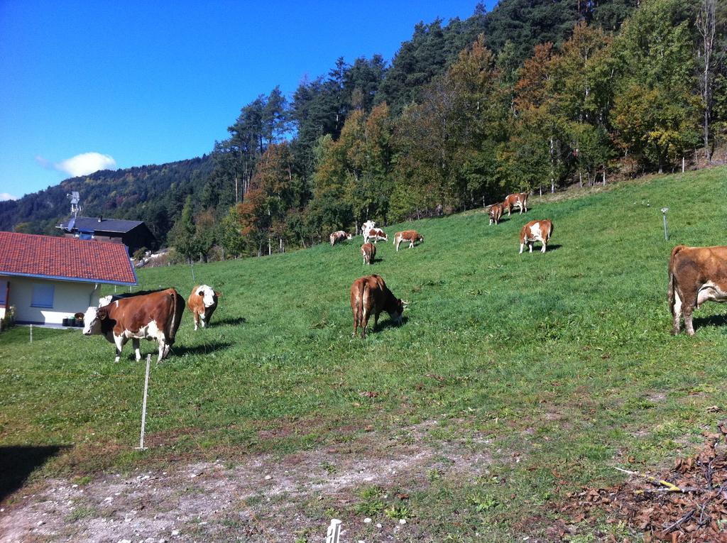 Appartament Eichnerhof Chienes Habitación foto